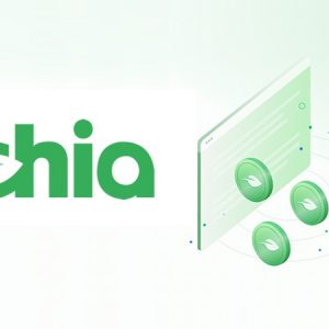 Venda de Plots Chia (5 Plots)